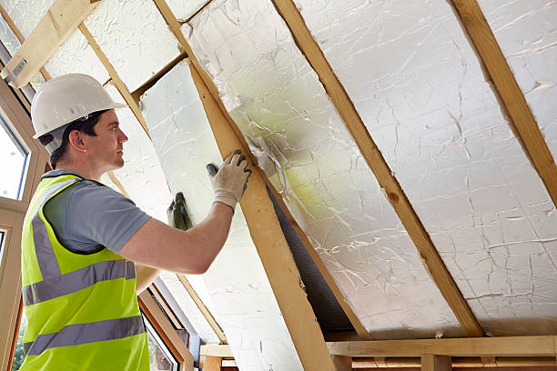 Best Insulation Maintenance and Repair in North East, MD